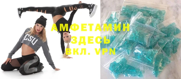 сатива Аркадак