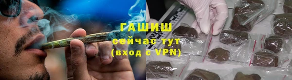 сатива Аркадак