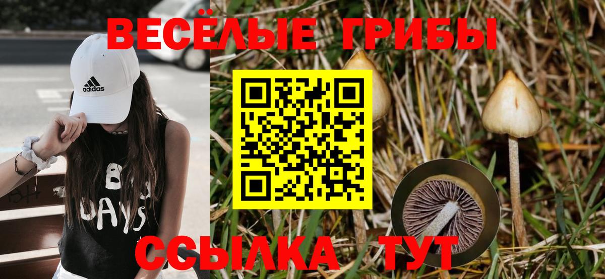 Асбест  Псилоцибиновые грибы Magic Shrooms  Вход с VPN 