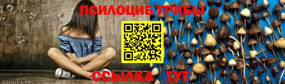 Галлюциногенные грибы Psilocybe Асбест